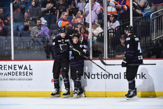 Orlando Solar Bears celebration