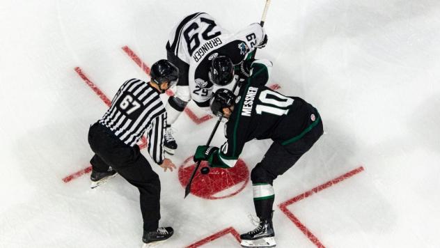 Wichita Thunder face off with the Utah Grizzlies
