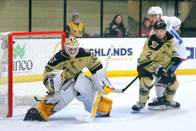 Wheeling Nailers goaltender Taylor Gauthier