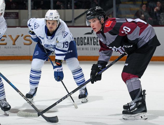 Peterborough Petes centre Adam Levac (right) vs. the Brampton Steelheads