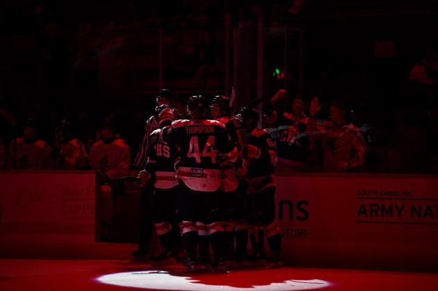South Carolina Stingrays celebrate a goal