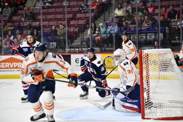 Greenville Swamp Rabbits goaltender Kolby Hay vs. the South Carolina Stingrays