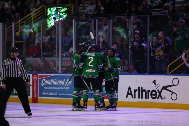 Florida Everblades huddle following a goal