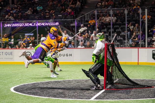 San Diego Seals transition player Zach Currier goes high for a shot