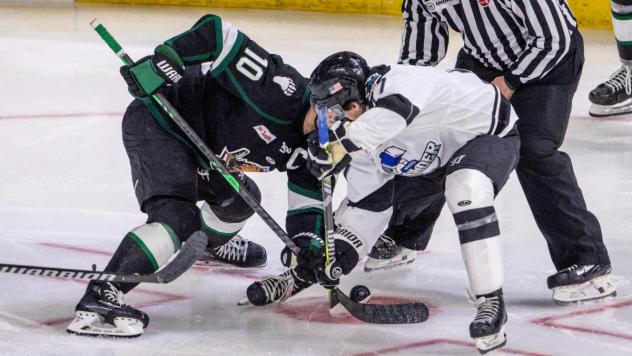 Wichita Thunder vs. the Utah Grizzlies in the faceoff circle
