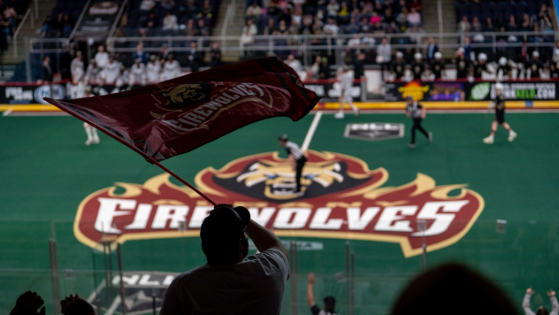 Fans support the Albany Firewolves