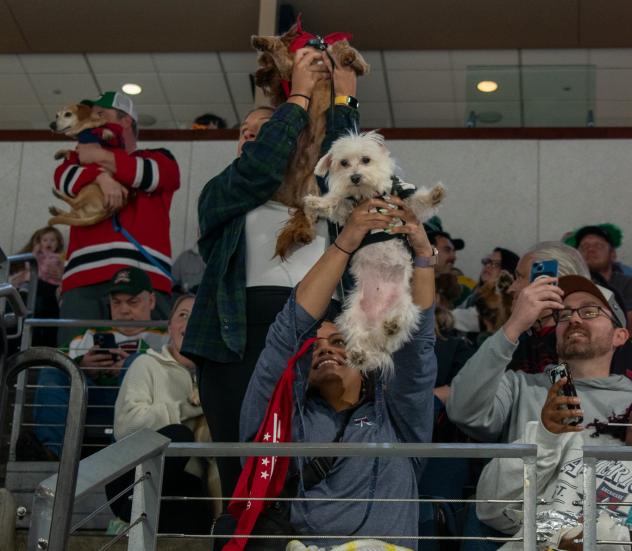 Pucks-N-Paws Day at the Allen Americans game