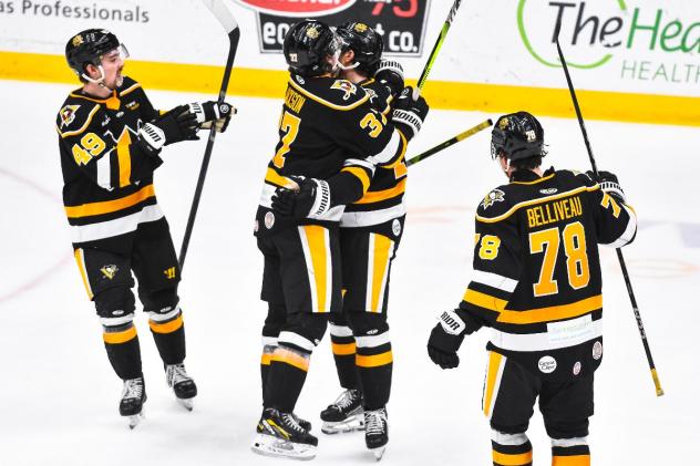 Wheeling Nailers celebrate a goal