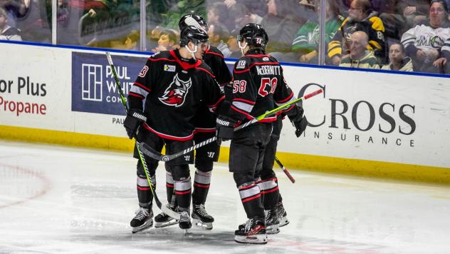 Adirondack Thunder celebrate a goal