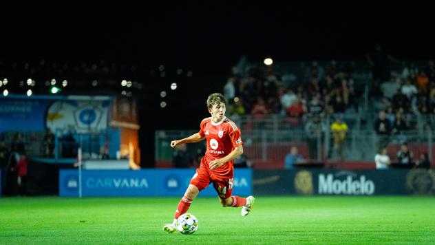 Phoenix Rising in action