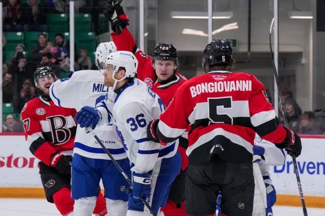 Belleville Senators in action