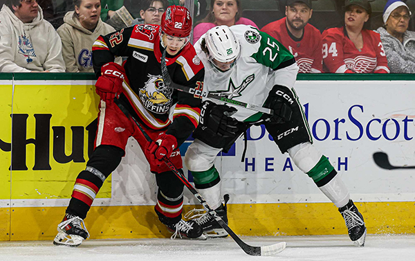 Grand Rapids Griffins battle the Texas Stars