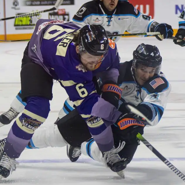 Knoxville Ice Bears' Brendan Dowler versus Quad City Storm's Dillon Fournier