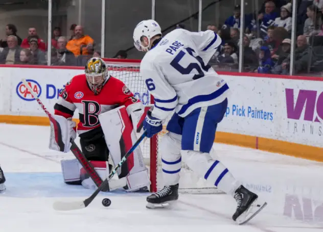 Belleville Senators' Leevi Meriläinen battles Toronto Marlies' Cédric Paré