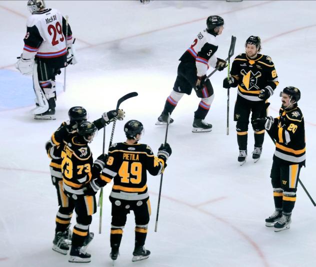 Wheeling Nailers gather after a goal against the Bloomington Bison