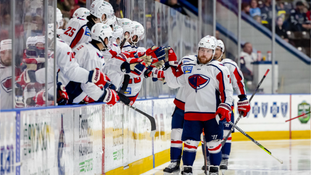 South Carolina Stingrays exchange congratulations along the bench