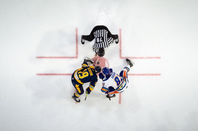 Orlando Solar Bears in the faceoff circle