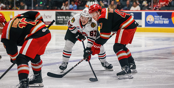 Grand Rapids Griffins left wing Alex Doucet (right) in the faceoff circle