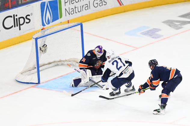 Greenville Swamp Rabbits goaltender Pierce Charleson vs. the Jacksonville Icemen