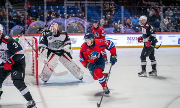 Springfield Thunderbirds' Tarun Fizer in action