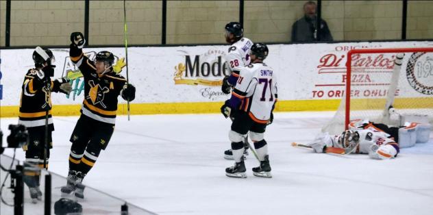 Wheeling Nailers and the Reading Nailers on the ice