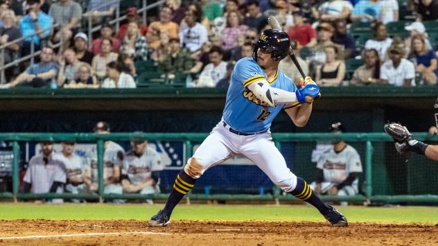 Montgomery Biscuits' Tatem Levins at bat