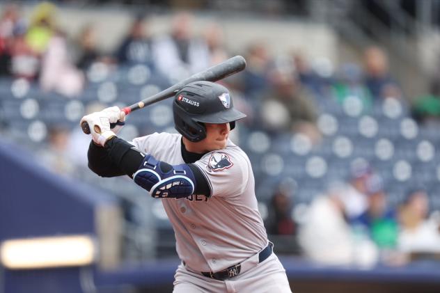 Rafael Flores of the Somerset Patriots at bat
