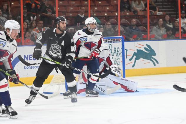 Greenville Swamp Rabbits forward Brent Pedersen vs. the South Carolina Stingrays