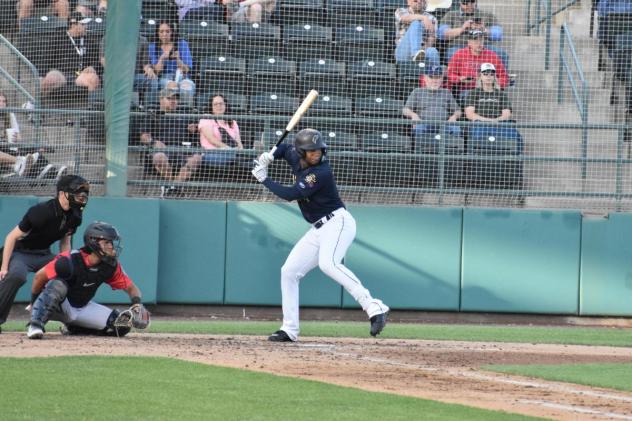 Tri-City Dust Devils await a pitch
