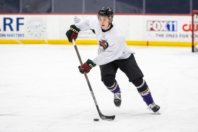 Tucson Roadrunners forward Noel Nordh