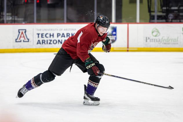 Tucson Roadrunners forward Owen Allard