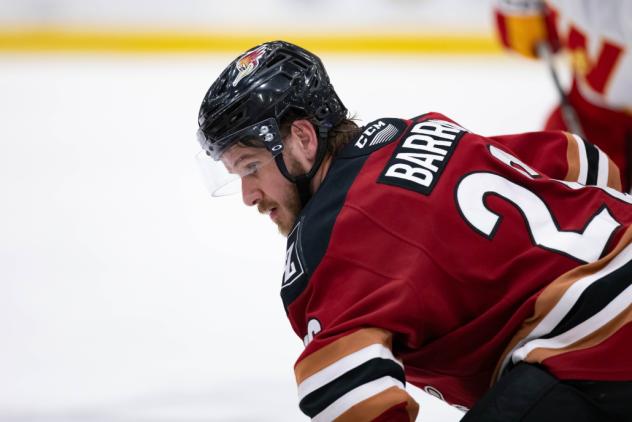 Tucson Roadrunners left wing Travis Barron