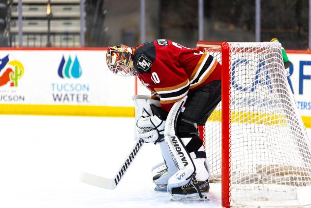 Tucson Roadrunners goaltender Jaxson Stauber