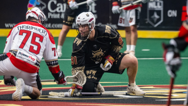 Albany FireWolves defenseman Joe Nardella