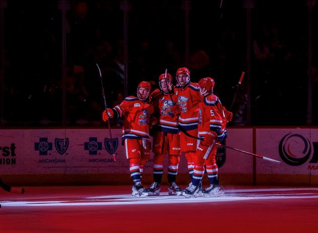 Grand Rapids Griffins on game night