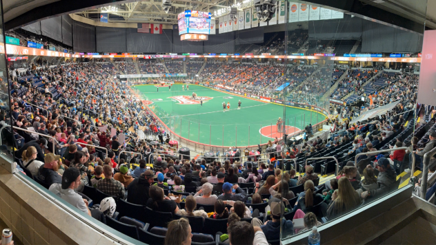 A big crowd watches the Albany Firewolves