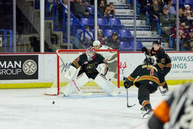 Vancouver Giants goaltender Burke Hood