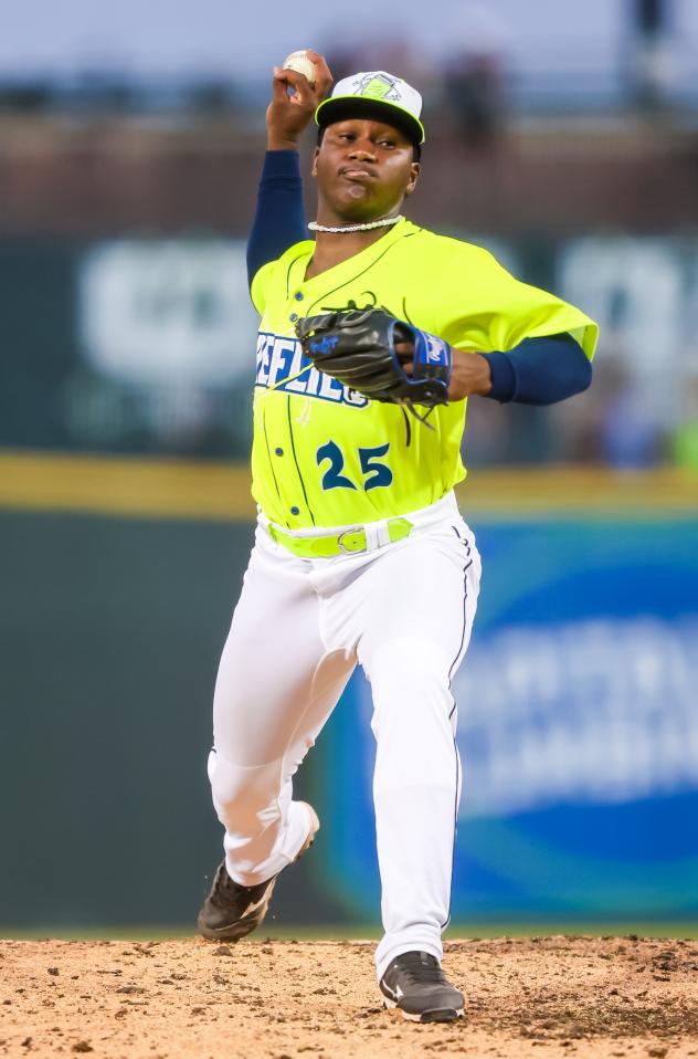 Columbia Fireflies pitcher Elvis Novas