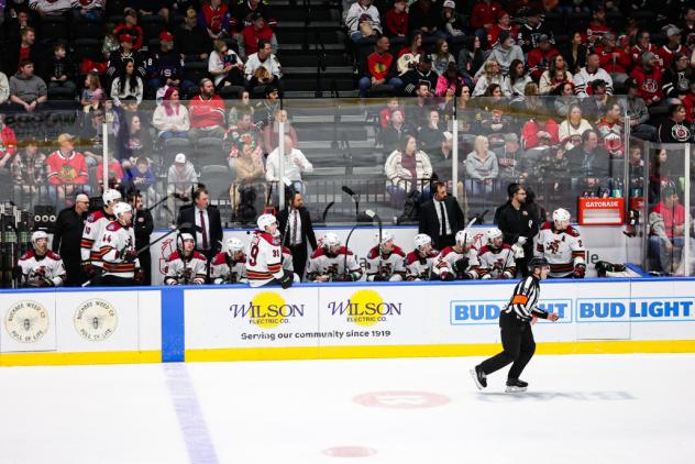 Tucson Roadrunners bench watches the action