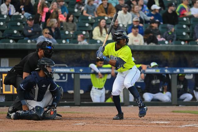 Brennon McNair of the Columbia Fireflies