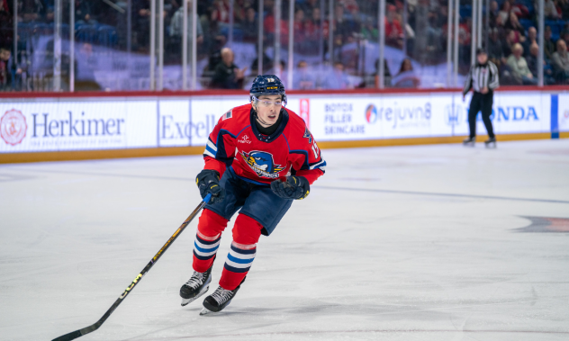Springfield Thunderbirds forward Dalibor Dvorsky