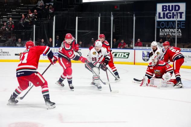 Grand Rapids Griffins defense protects the net against the Rockford IceHogs