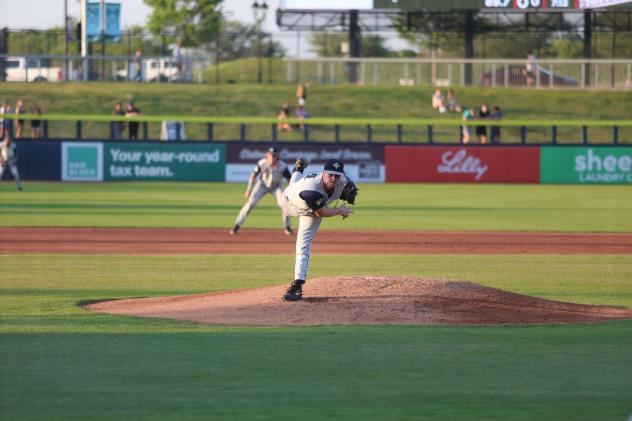 Columbia Fireflies' Tanner Jones in action