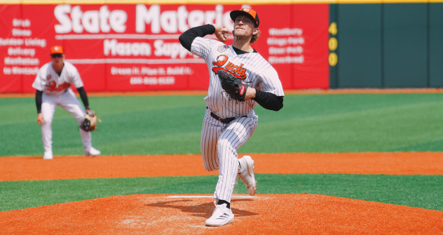 Long Island Ducks on the mound