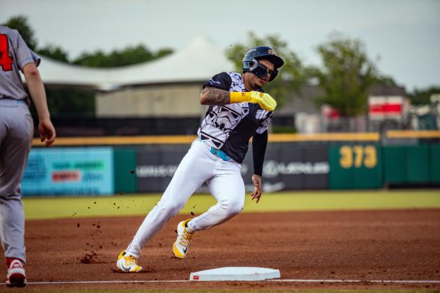 Montgomery Biscuits in action
