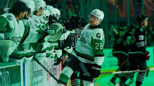 Texas Stars forward Matěj Blümel