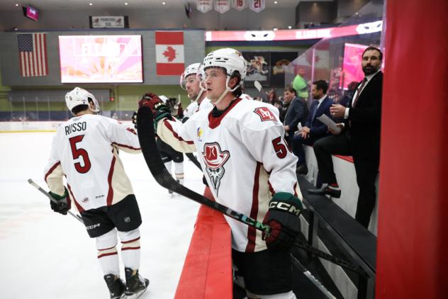 Tucson Roadrunners exchange congratulations along the bench