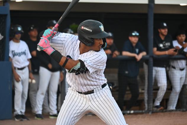 Hans Montero at bat for the Tampa Tarpons