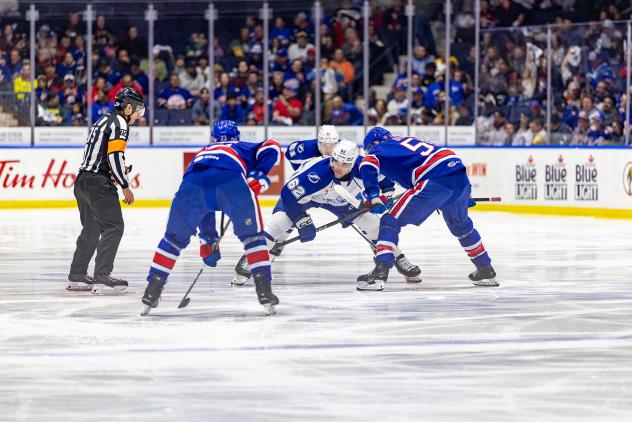 Syracuse Crunch forward Jack Finley faces off with the Rochester Americans