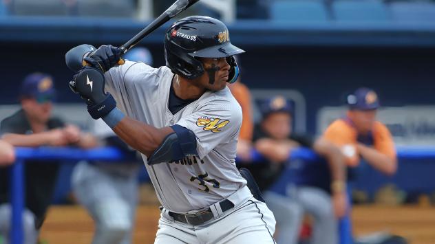 Montgomery Biscuits' Homer Bush Jr. at bat